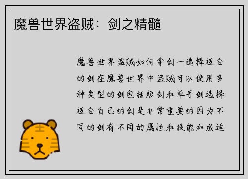 魔兽世界盗贼：剑之精髓